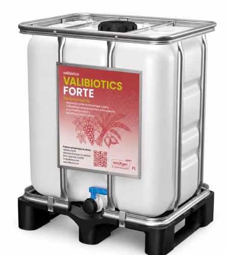 Valibiotics Forte 300_Easy-Resize.com.jpg