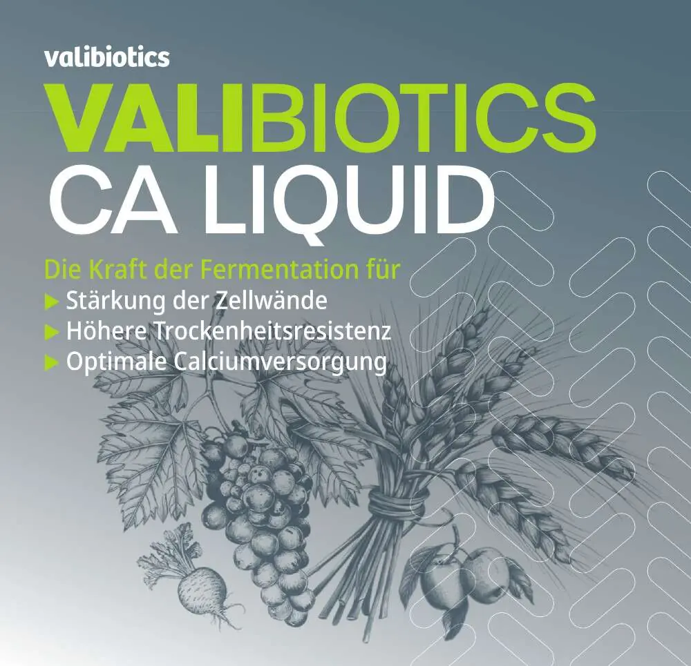 Valibiotics CA LiquidObrazek 3